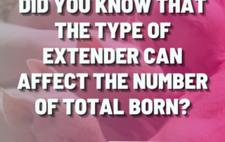 Did you know that the type of extender can affect the number of total born?