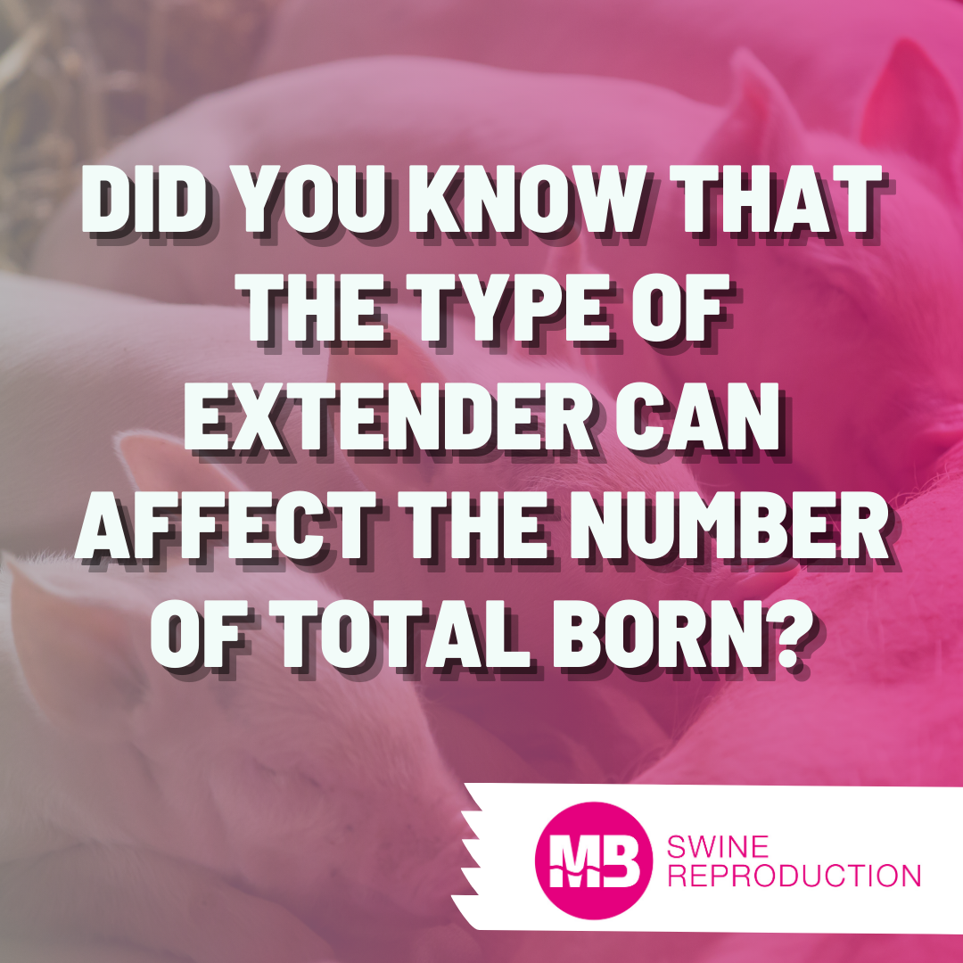 Did you know that the type of extender can affect the number of total born?
