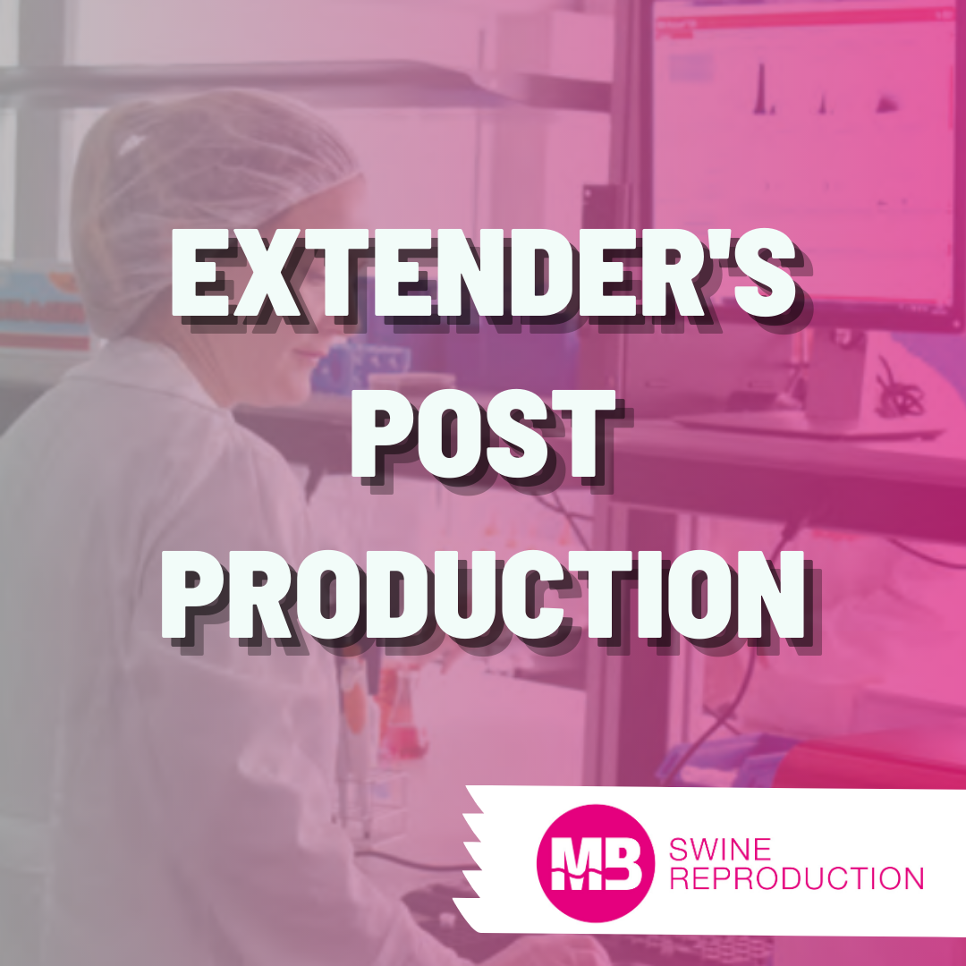 Extender's Post Production