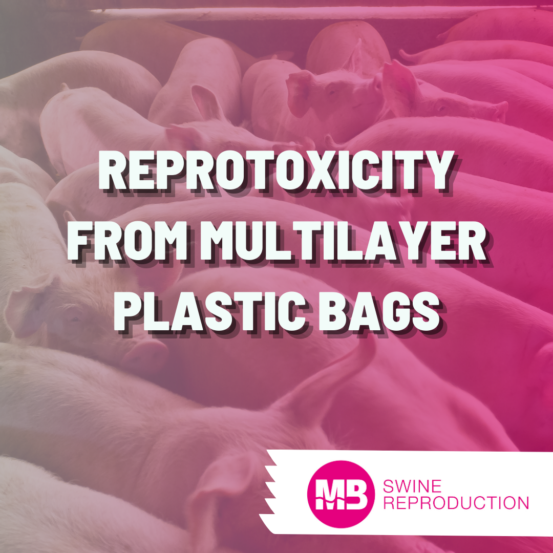 Reprotoxicity from multilayer plastic bags