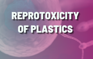 Reprotoxicity of plastics