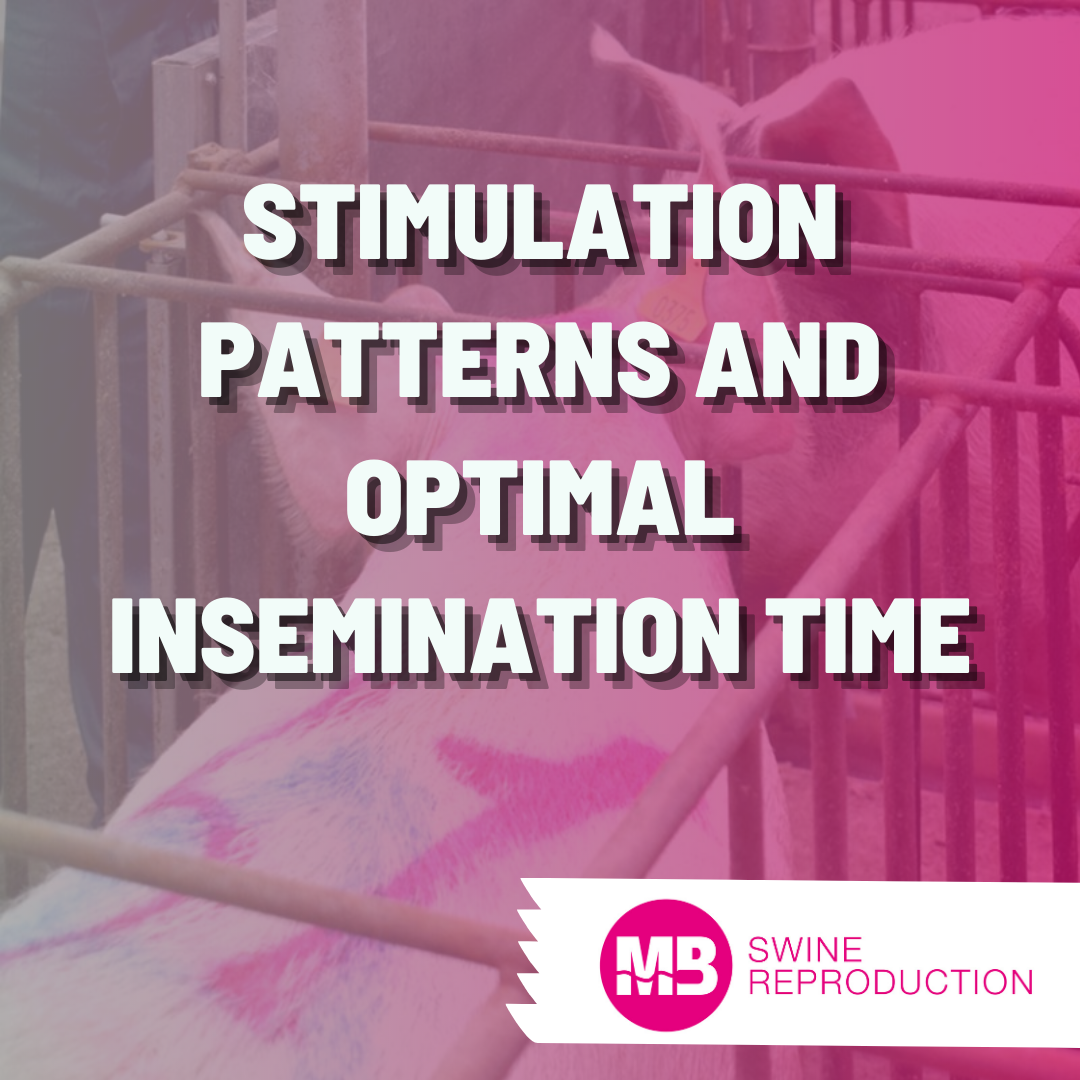 Stimulation patterns and optimal insemination time