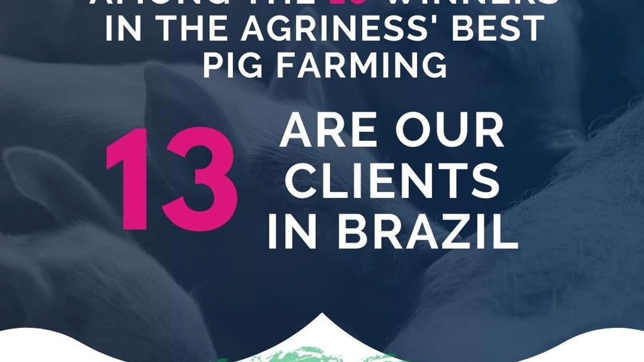 The Best Swine Farming in 2020