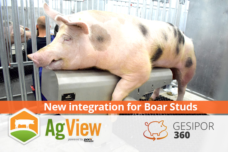 New integration of Gesipor with AgView